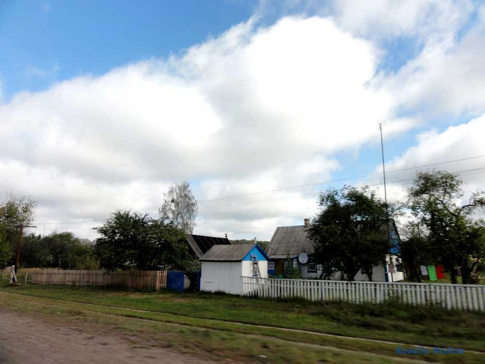 Лесовщина (Коростенский р-н)