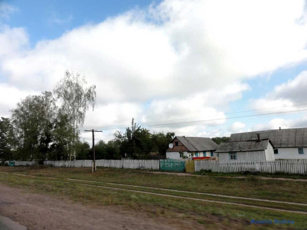 Лесовщина (Коростенский р-н)