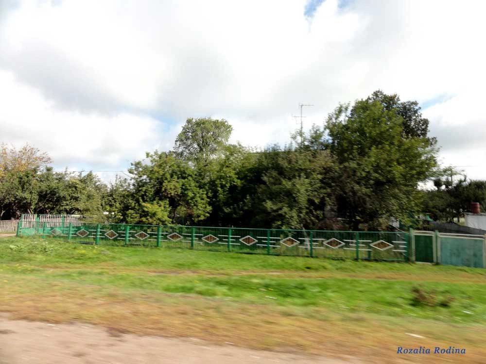 Лесовщина (Коростенский р-н)