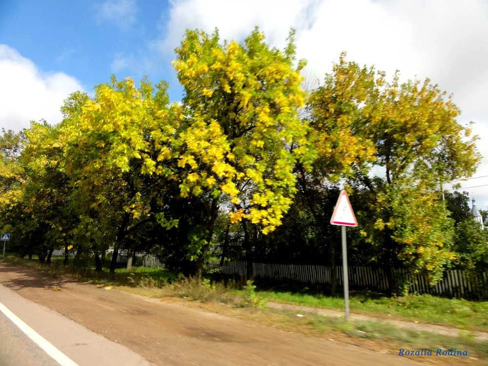 Лесовщина (Коростенский р-н)