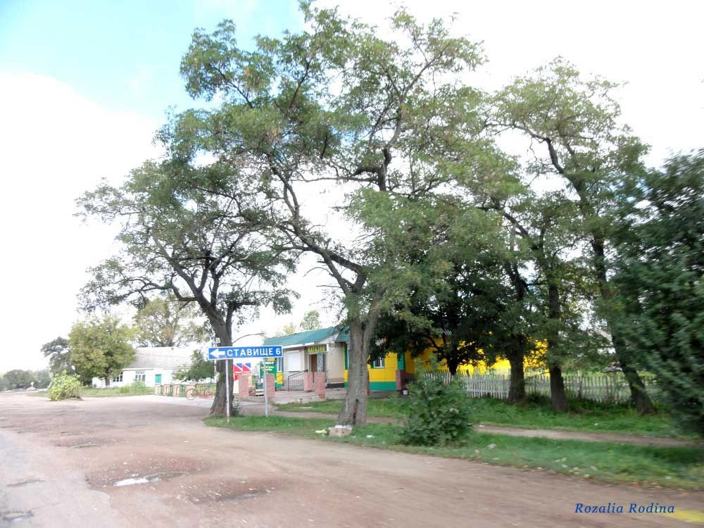 Лесовщина (Коростенский р-н)