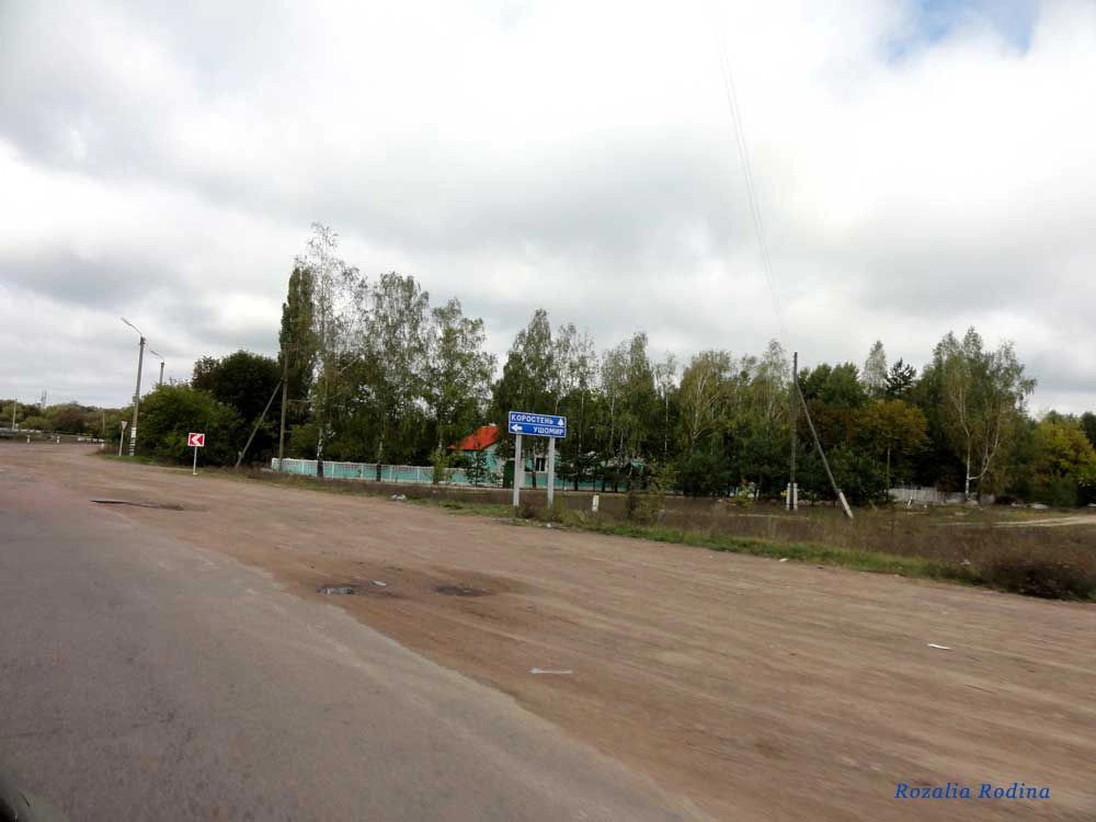 Полесское (Коростенский р-н)