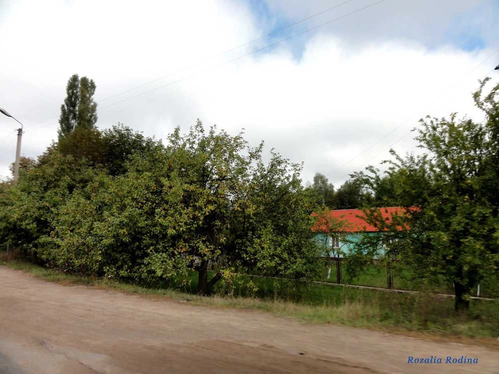 Полесское (Коростенский р-н)