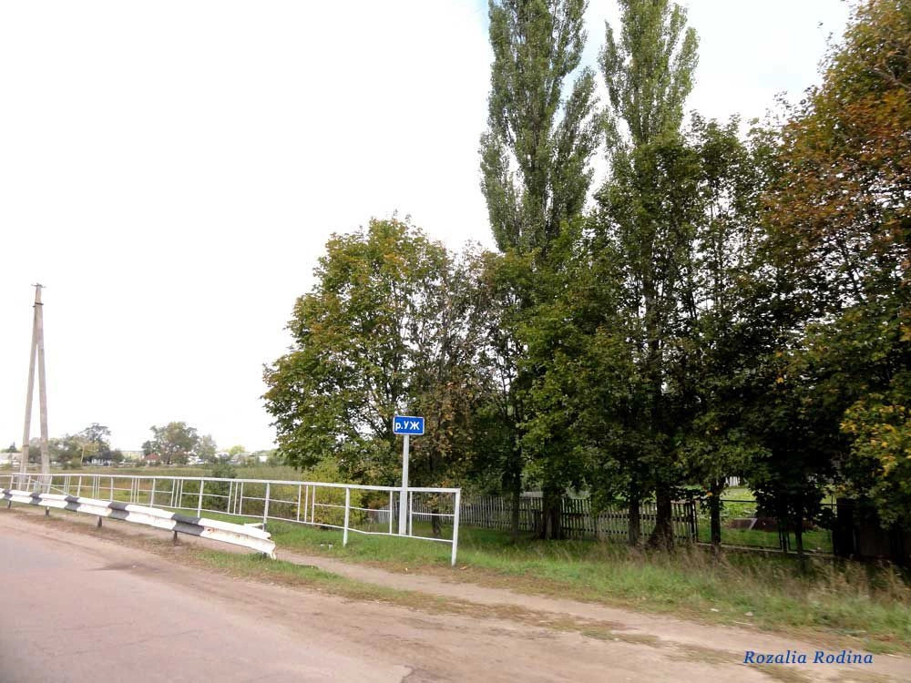 Полесское (Коростенский р-н)