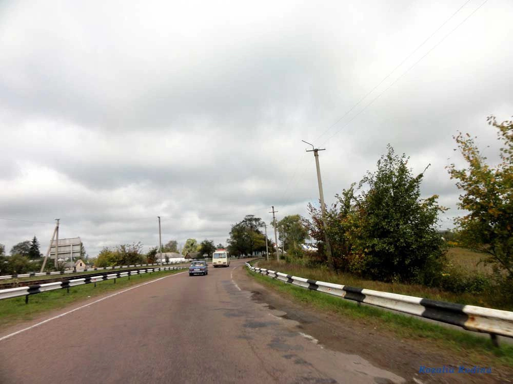 Полесское (Коростенский р-н)