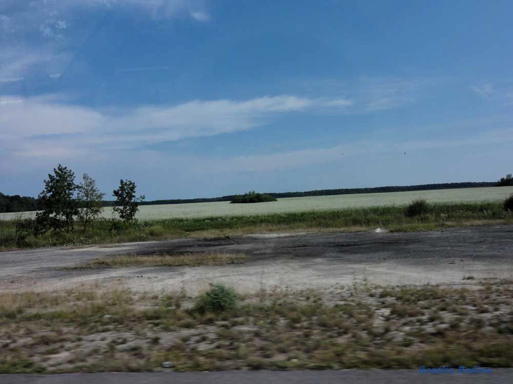 Анета