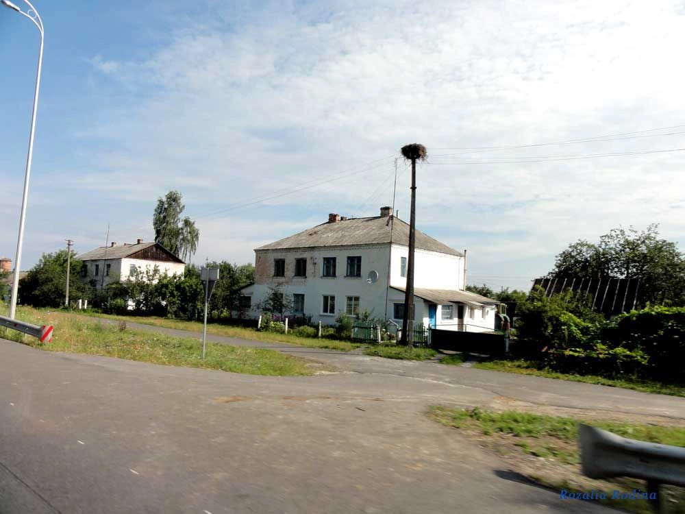 Броники