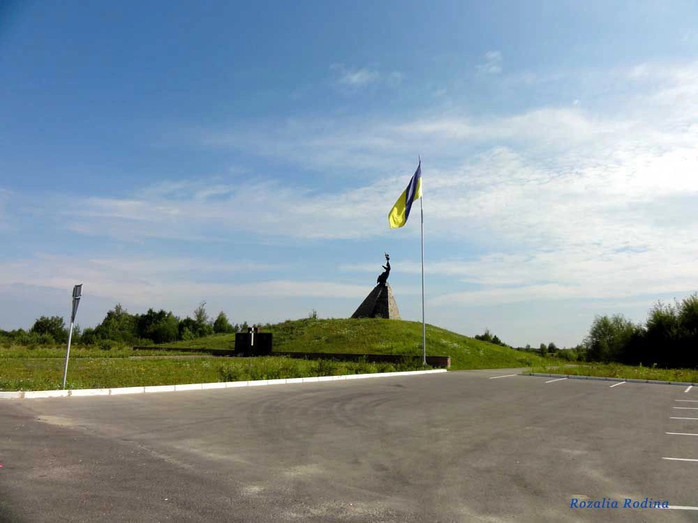 Новоград-Волынский район
