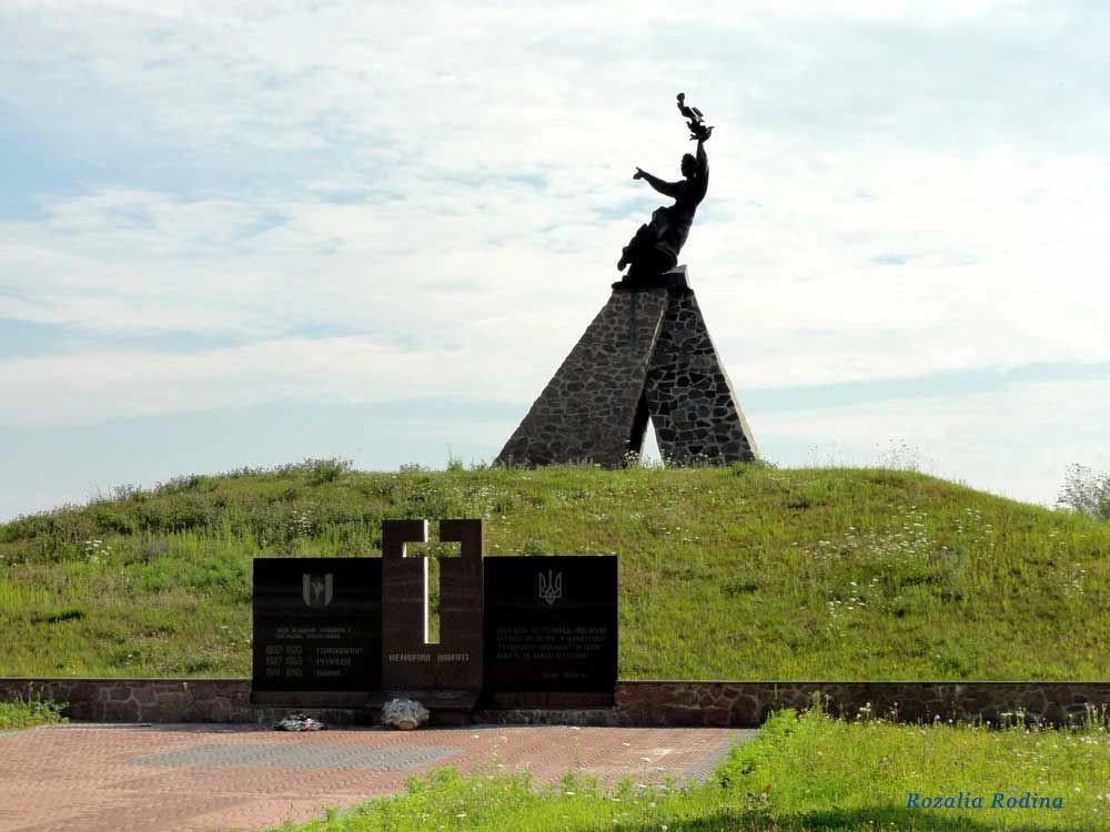 Новоград-Волынский район