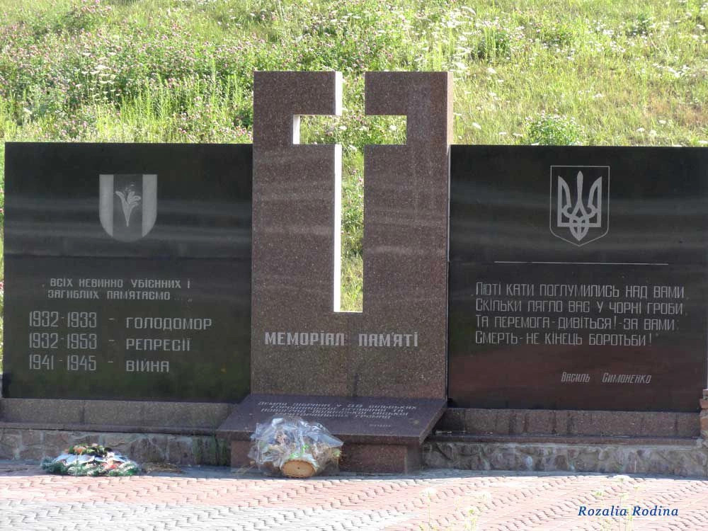 Новоград-Волынский район