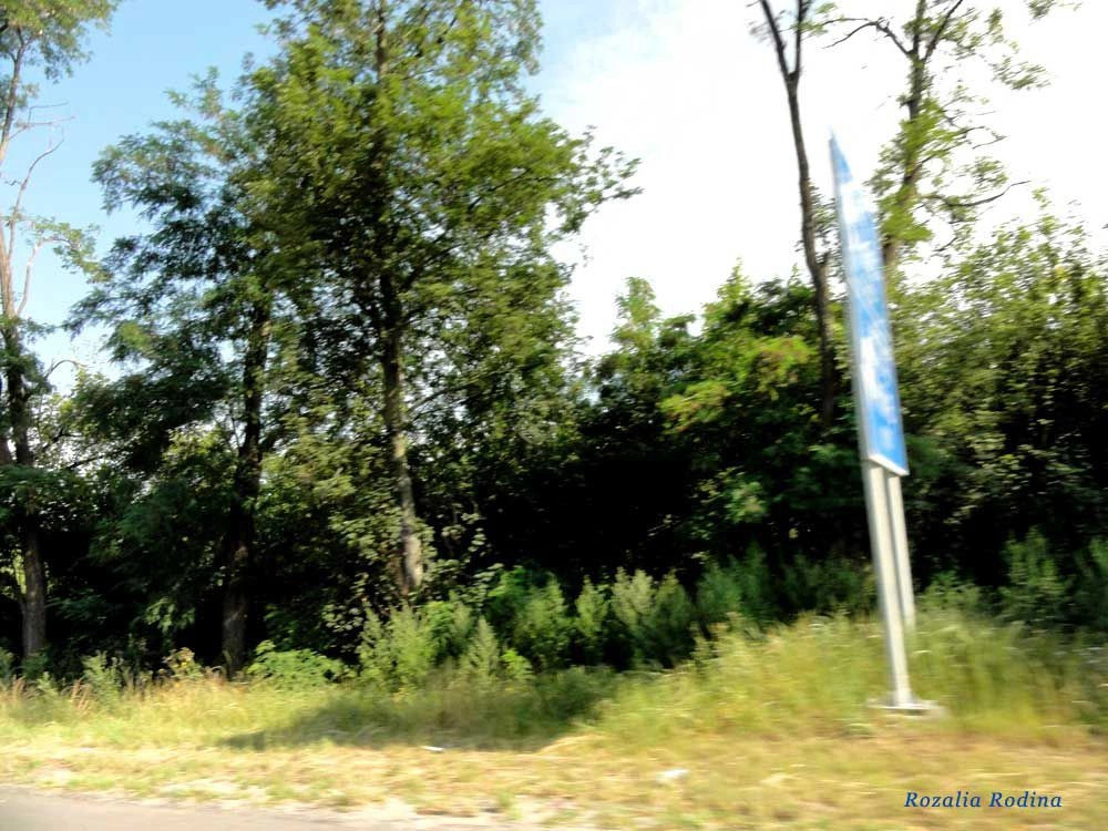 Романовка