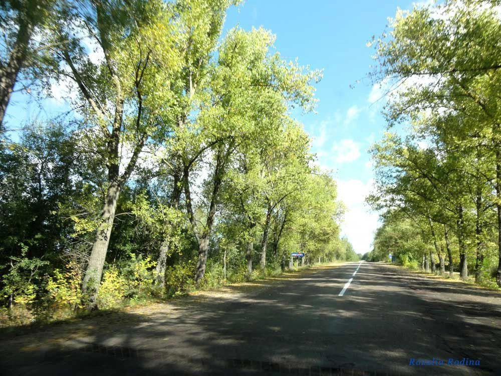 Белокаменка