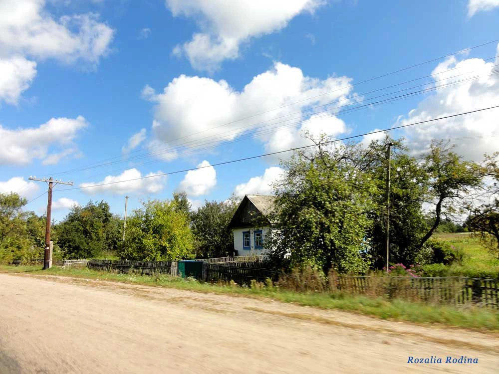 Потаповичи