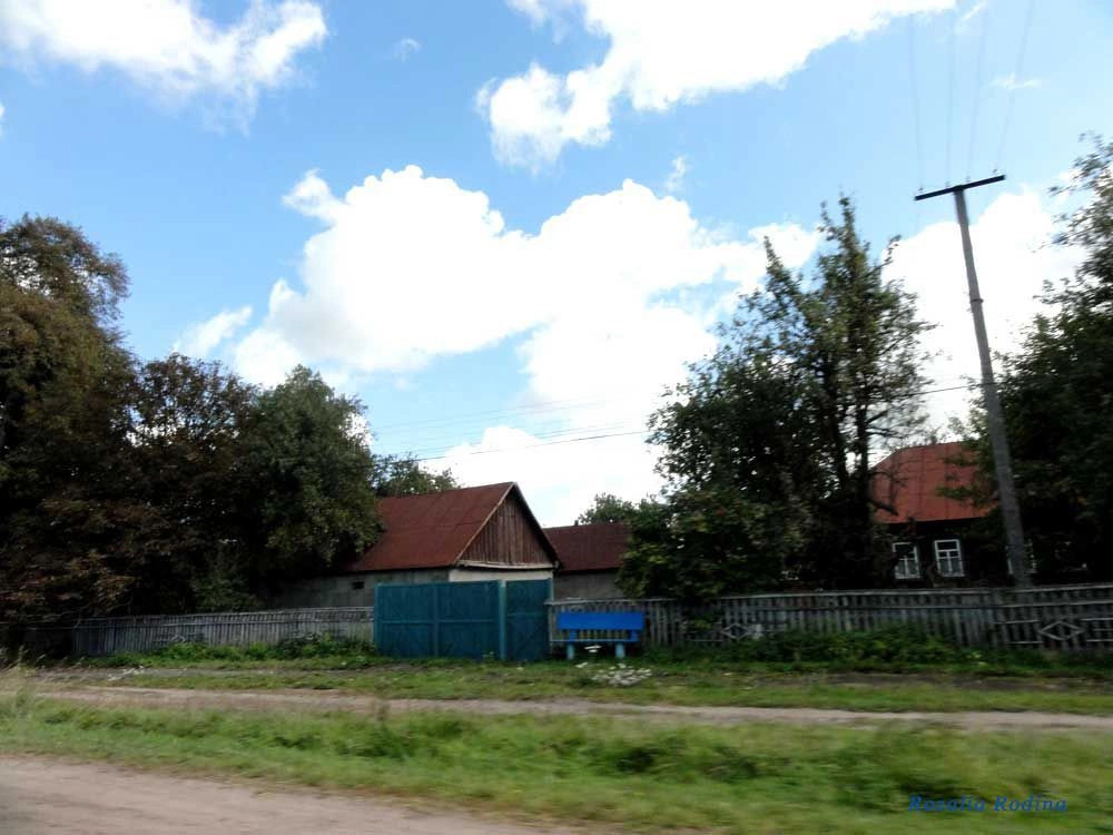 Потаповичи