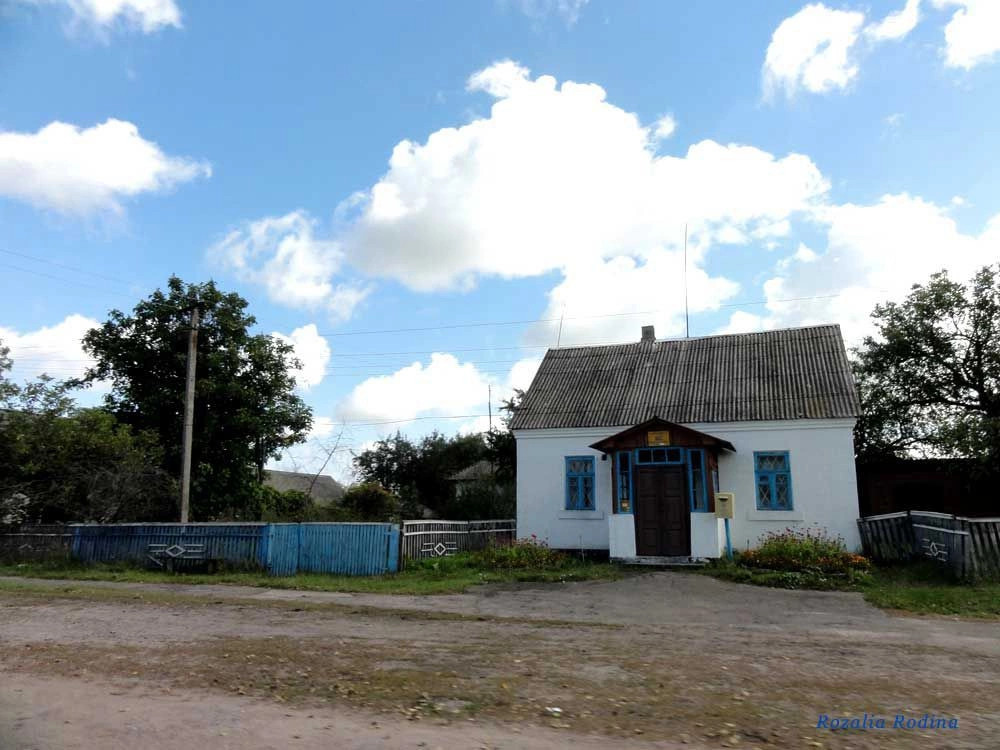 Потаповичи