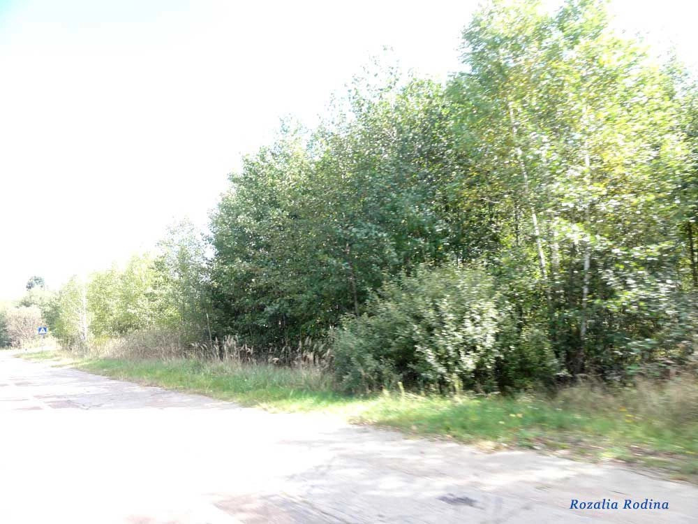 Рудня (Руднянский сельсовет)