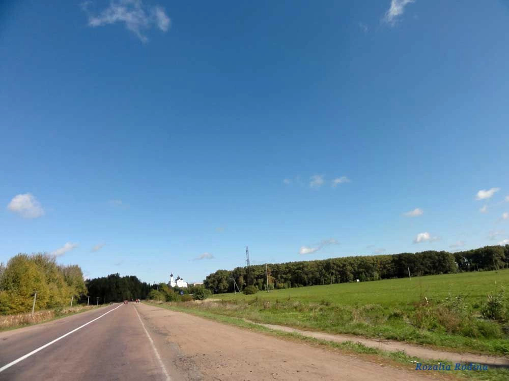 Заречье (Овручский р-н)