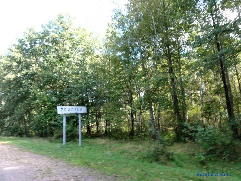Прилуки (Овручский р-н)