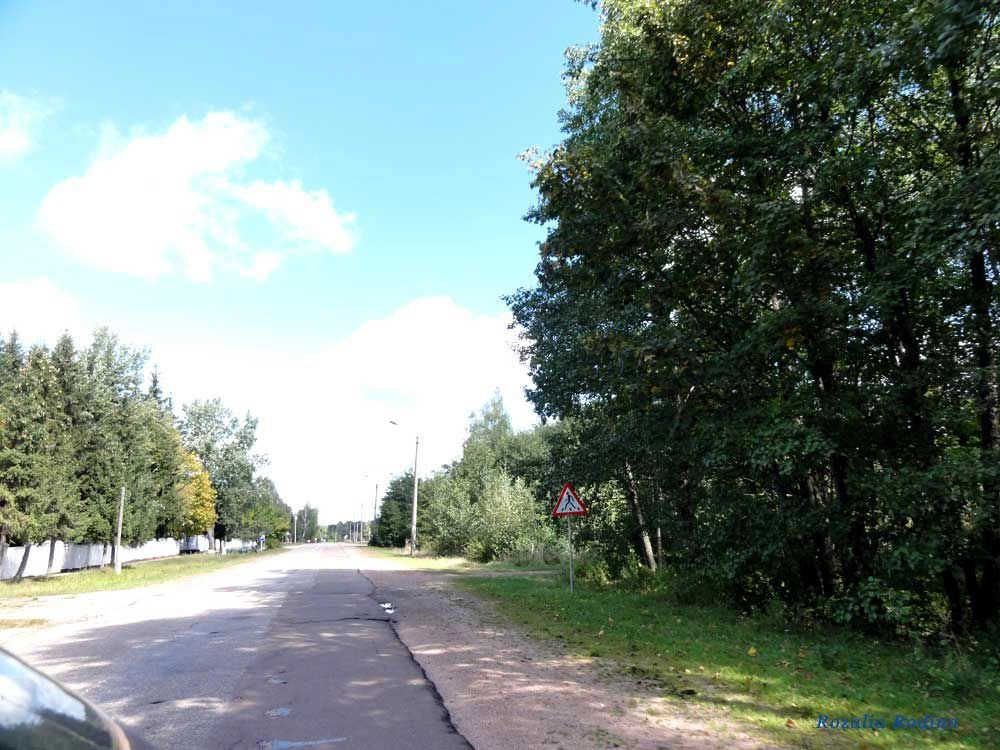 Прилуки (Овручский р-н)
