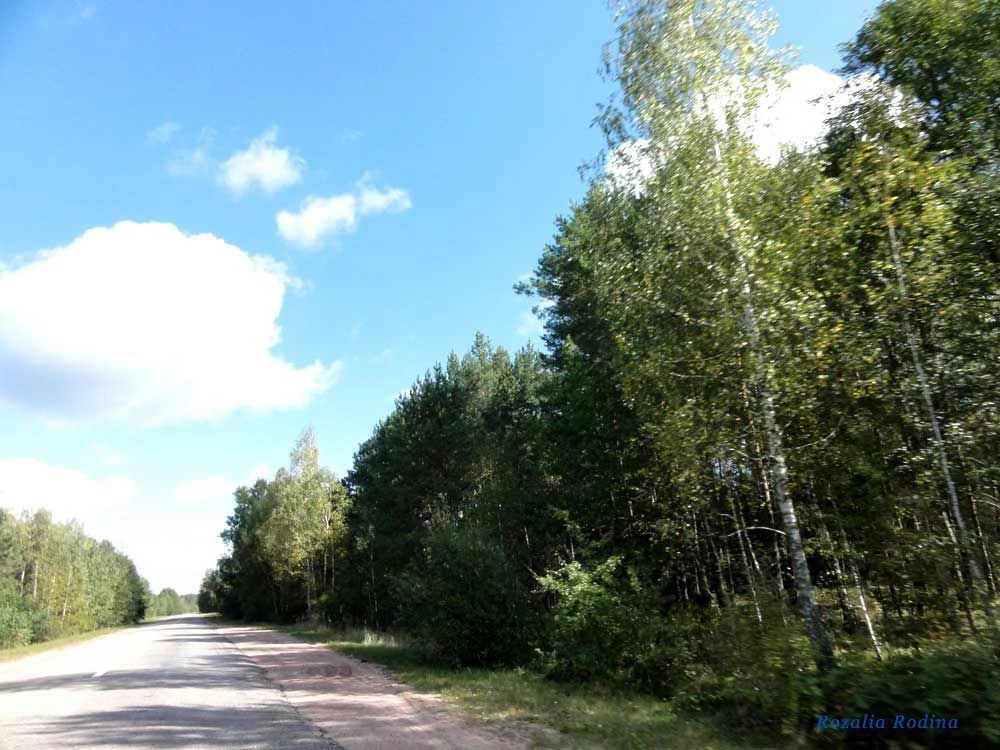 Прилуки (Овручский р-н)