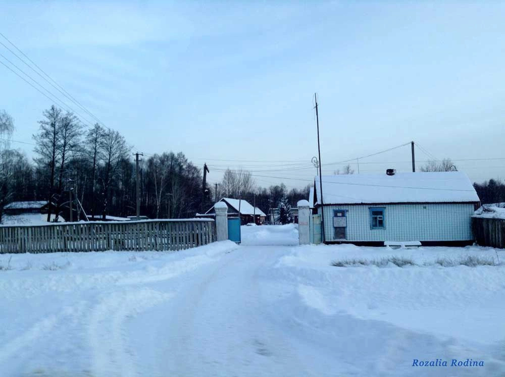 Прилуки (Овручский р-н)