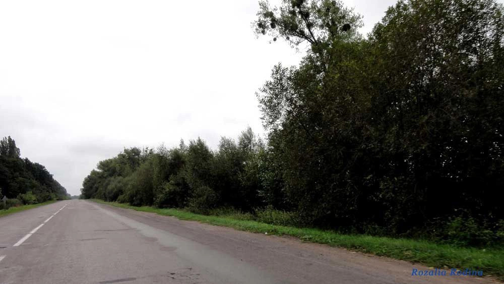 Маркова Волица