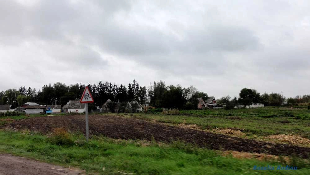 Парипсы