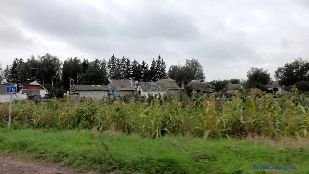 Парипсы