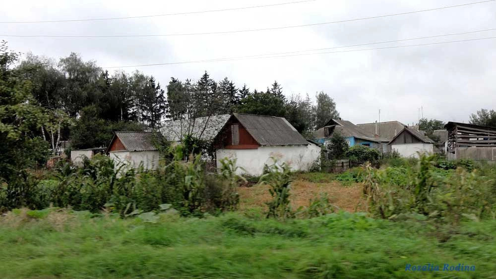 Парипсы
