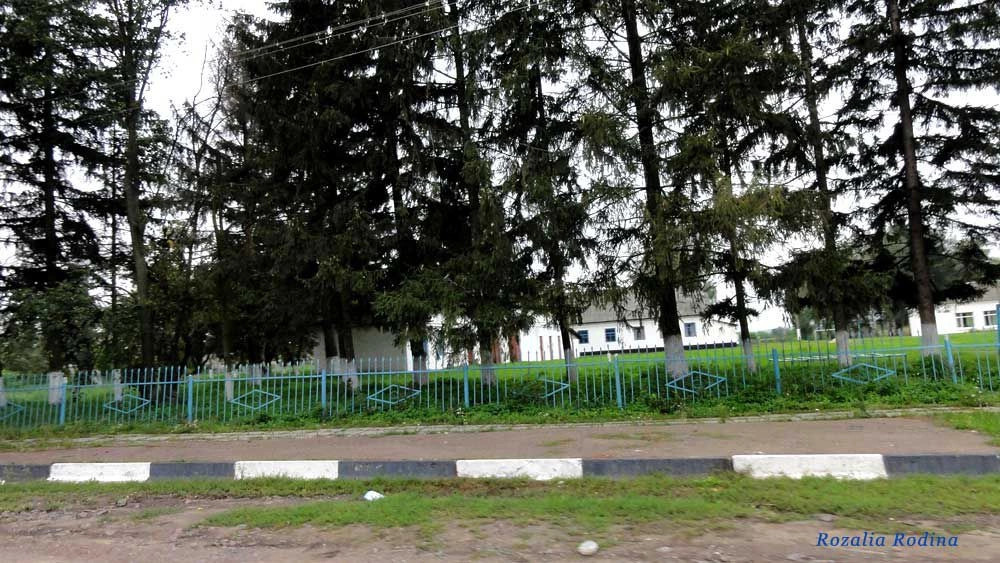 Парипсы