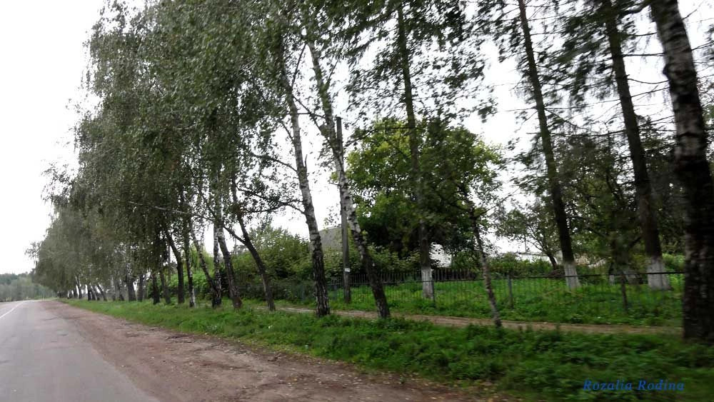 Парипсы