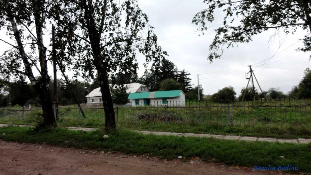 Парипсы
