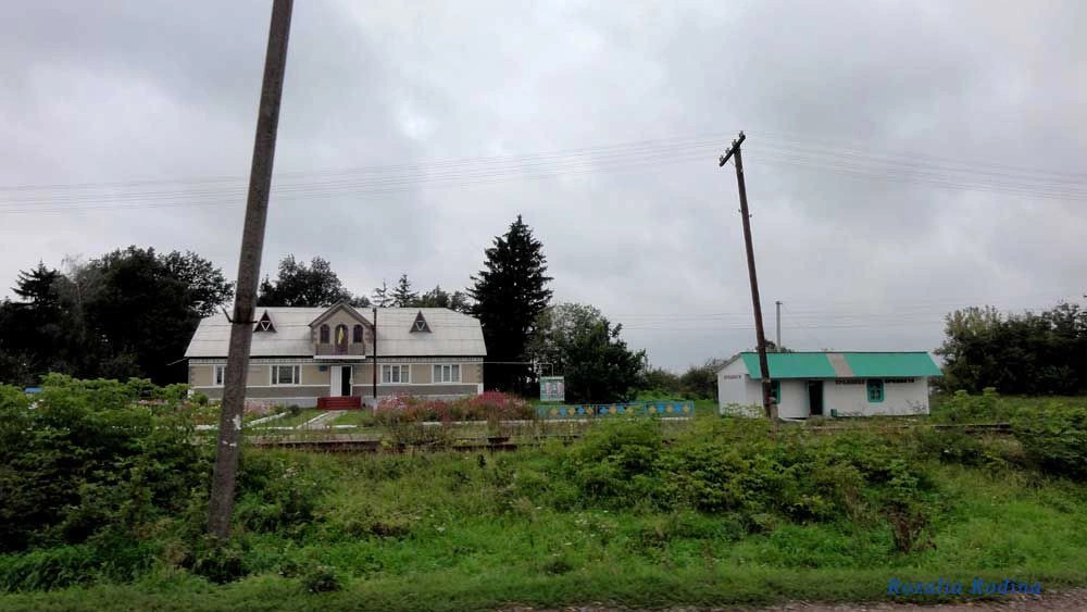 Парипсы
