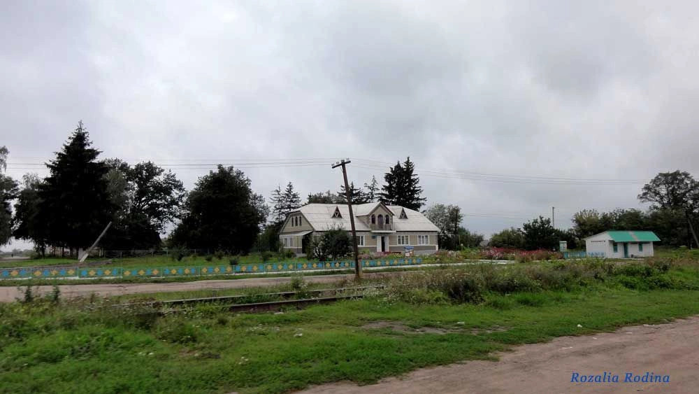 Парипсы