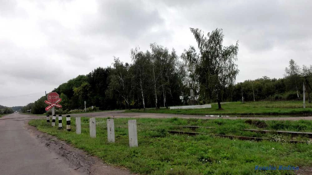 Парипсы