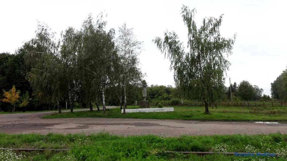 Парипсы