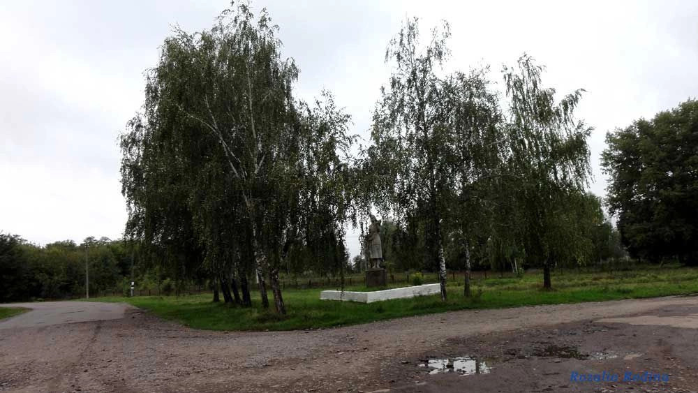 Парипсы