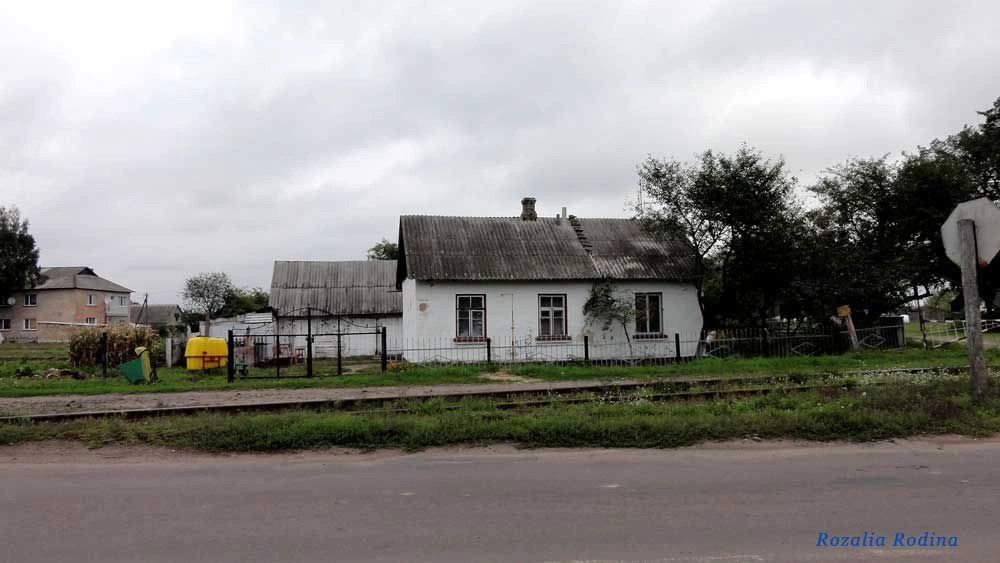 Парипсы