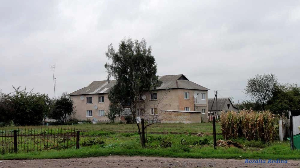 Парипсы