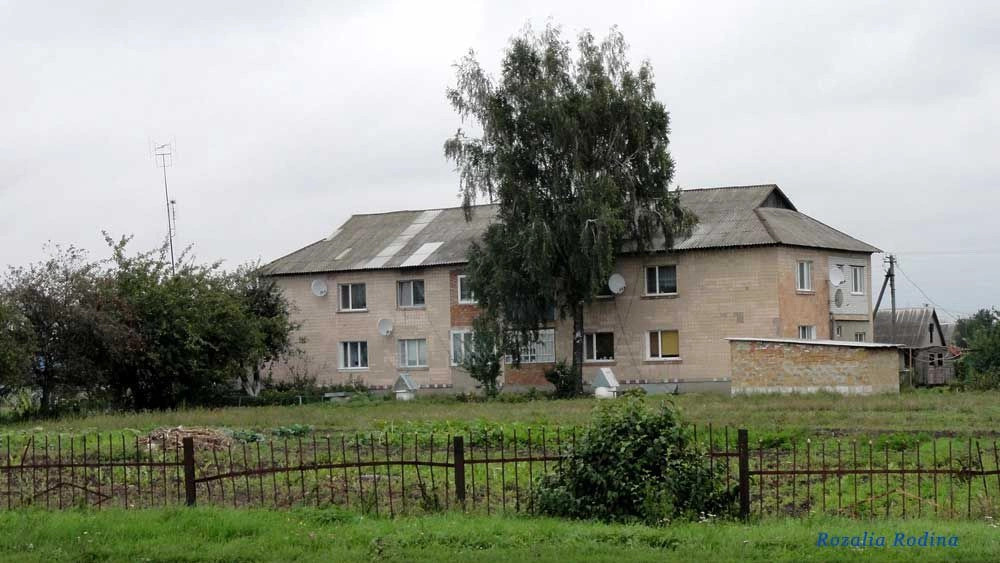 Парипсы