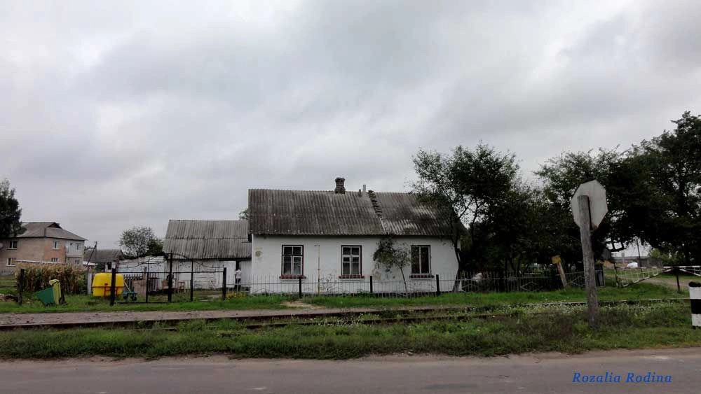 Парипсы