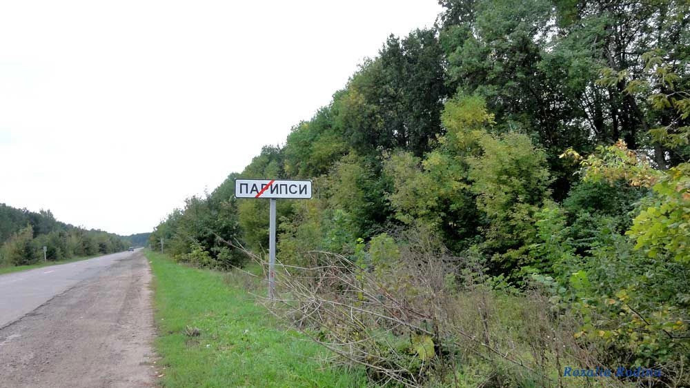 Парипсы