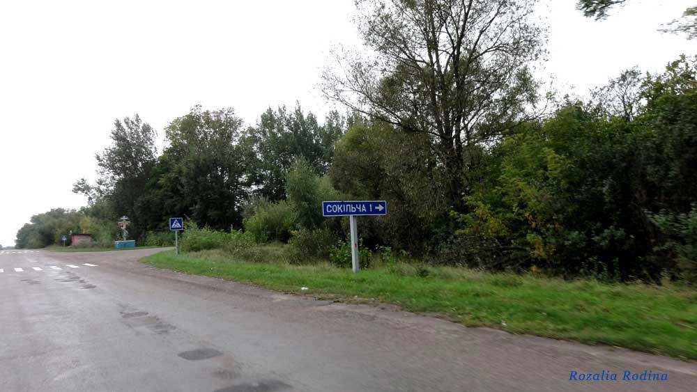 Сокольча