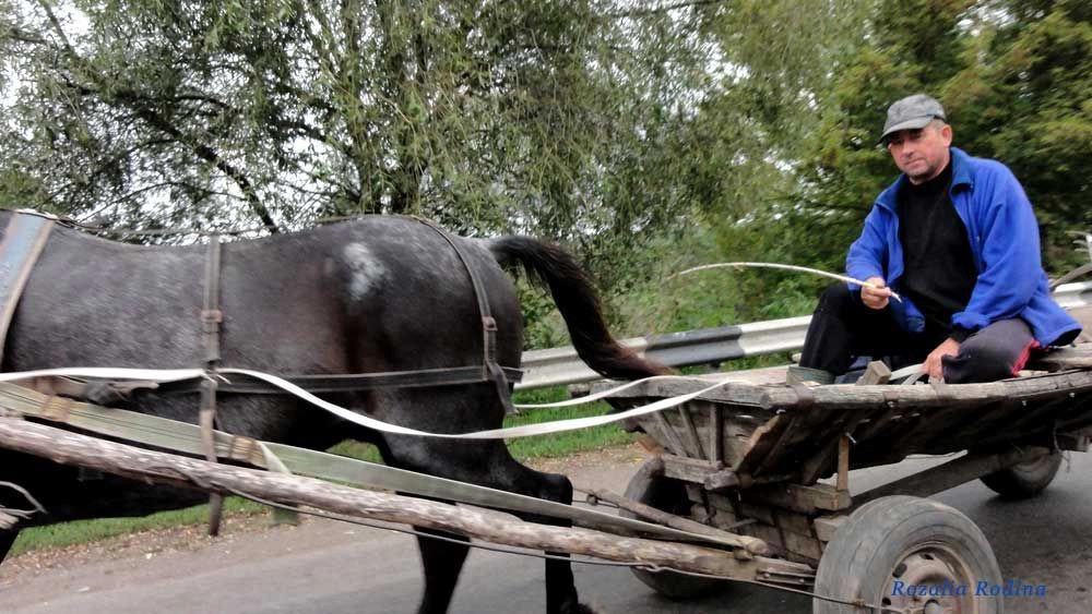 Строков