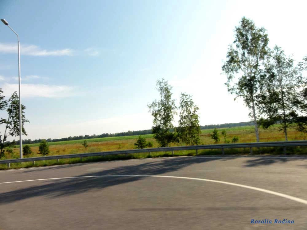 Пулинский район