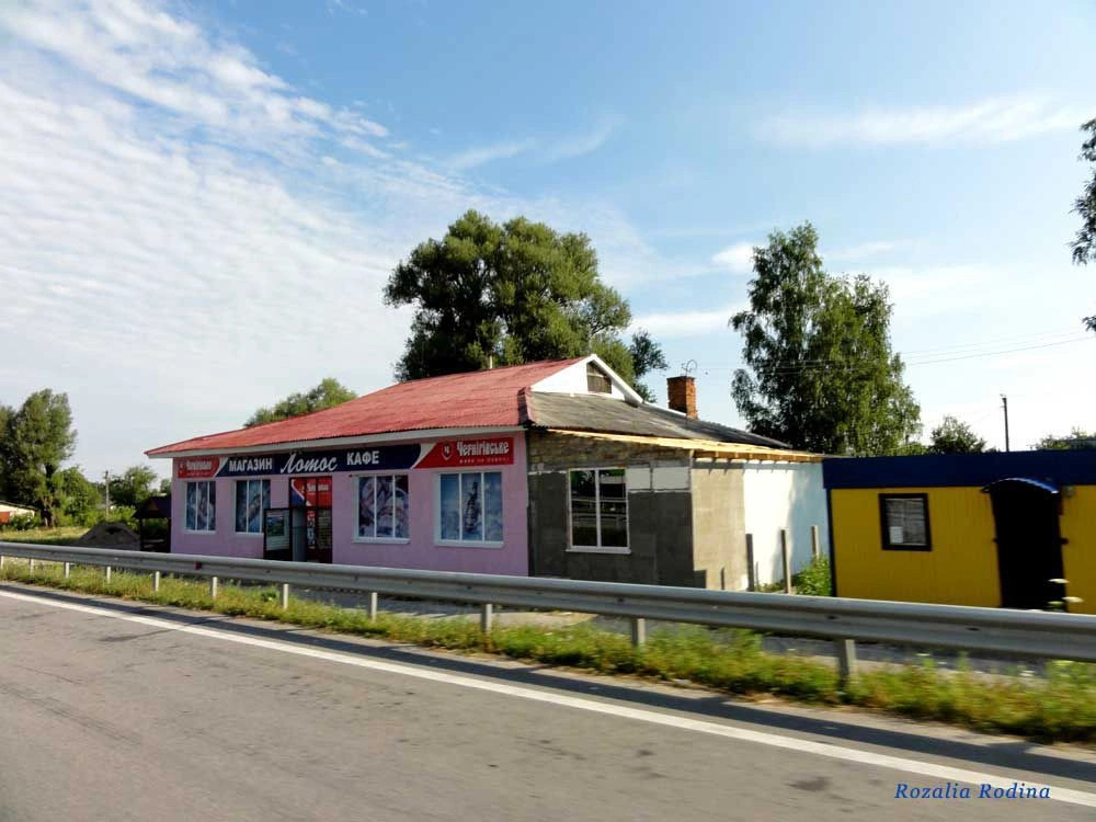 Пулинский район