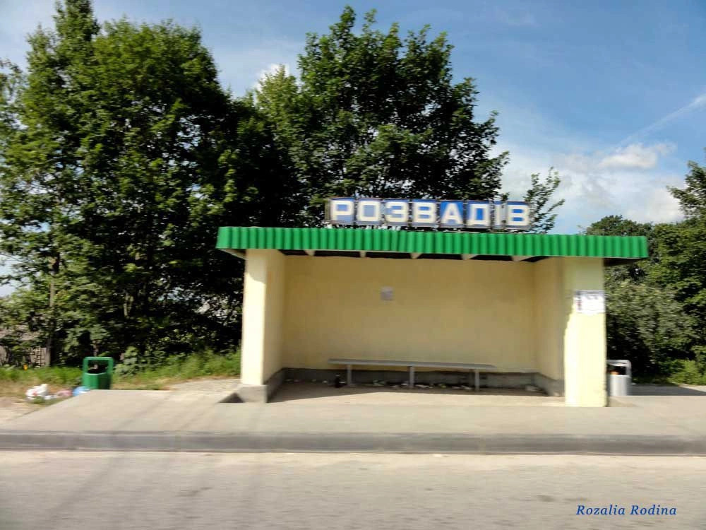 Николаевский район (Львов.)