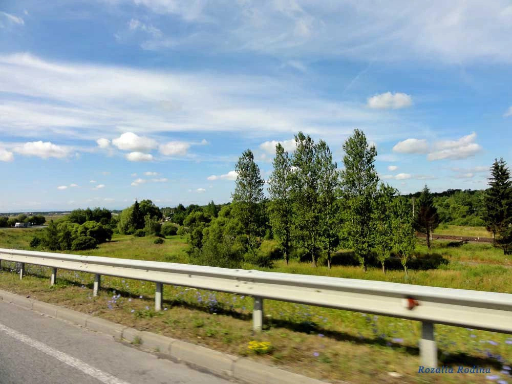 Остров (Николаевский р-н)