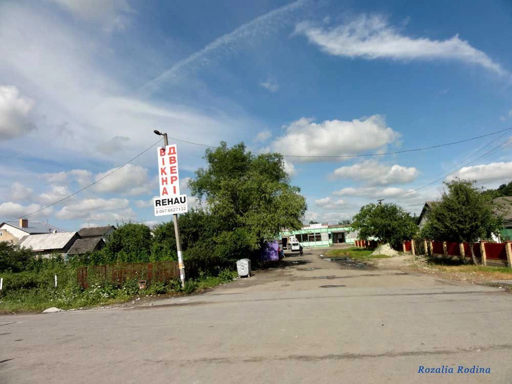 Николаевский район (Львов.)