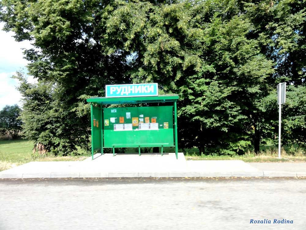 Николаевский район (Львов.)